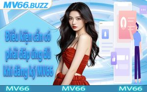Điều kiện cần có phải đáp ứng đủ khi đăng ký MV66