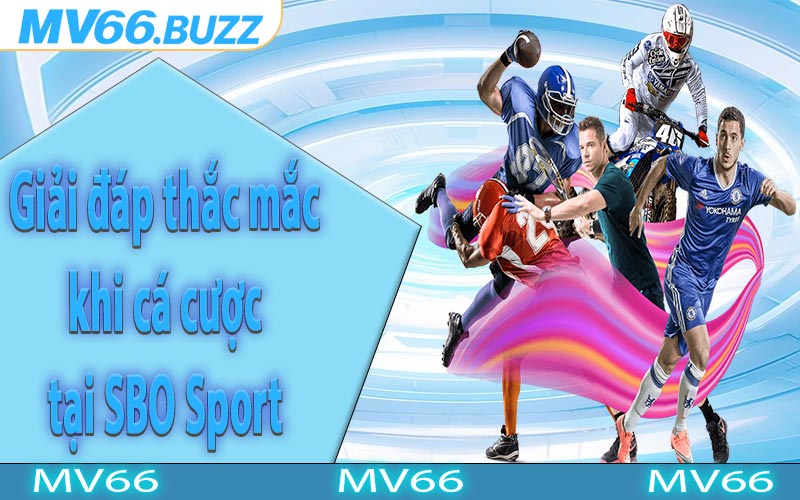 Giải đáp thắc mắc khi cá cược tại SBO Sport