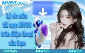 Lý do nên tải app MV66 trên điện thoại của bạn