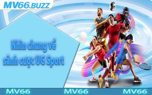 Nhìn chung về sảnh cược UG Sport