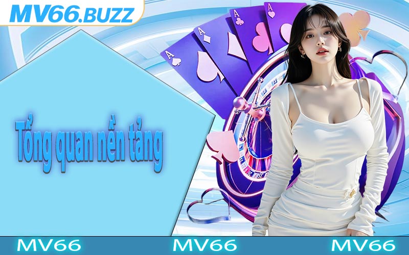Tổng quan nền tảng